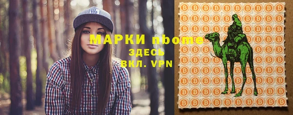 ГАЛЛЮЦИНОГЕННЫЕ ГРИБЫ Вяземский