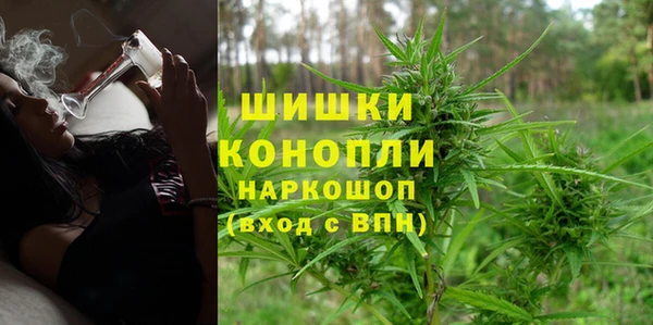 ГАЛЛЮЦИНОГЕННЫЕ ГРИБЫ Вяземский
