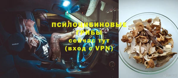 ГАЛЛЮЦИНОГЕННЫЕ ГРИБЫ Вяземский