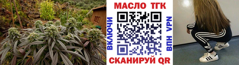 Купить закладки  Рошаль  ТГК концентрат 