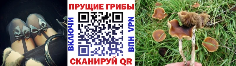 Галлюциногенные грибы мицелий  Купить где  Рошаль 