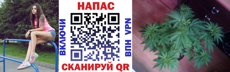 Бошки Шишки White Widow  Купить закладки  Рошаль 